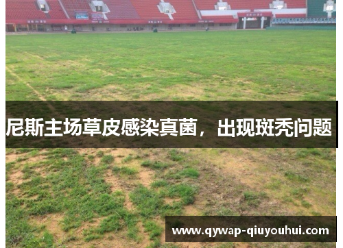 尼斯主场草皮感染真菌,出现斑秃问题  尼斯主场草皮感染真菌,出现斑秃问题
